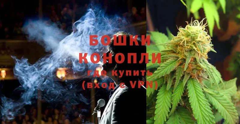 Бошки марихуана White Widow  маркетплейс как зайти  Котовск  купить  сайты 